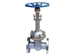 Gate Valve with Extended Bonnet Instead