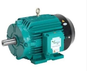 Crompton Greaves AC Motor