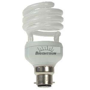 Spiral CFL Bulb