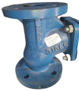 Cast Iron Check Valve