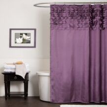 Shower Curtain