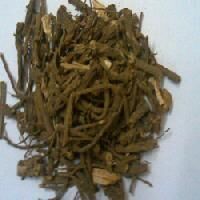 Coleus Dry Root