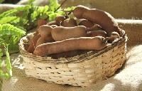 Tamarind Seed Husk