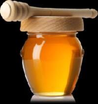 Acacia Honey