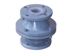 PTFE lined check valve