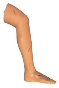 Surgical Suture Leg Model