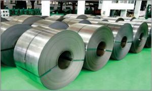 Stainless Steel Coils