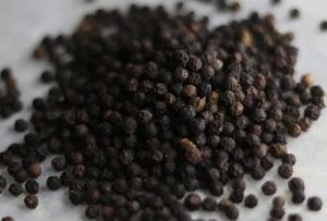Organic Black Pepper Seed