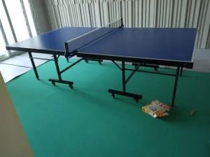 Table Tennis Table