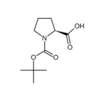 N Boc L Proline