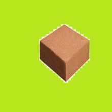 Coco peat block