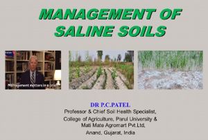 Agriculture Consultancy Services on Soil Health and Nutrient Management for Better Crop yields