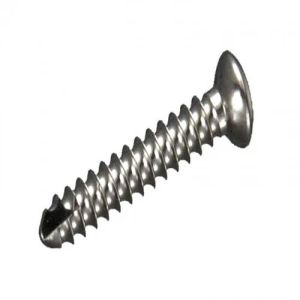 Cortex Screw