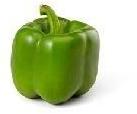 Green Pepper