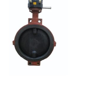 Lined Butterfly Valve