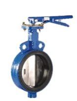 Lugged Butterfly Valves