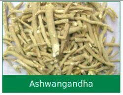 Ashwagandha Extract