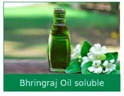 bhringraj oil