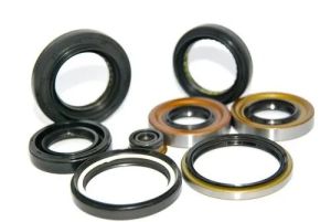 Rubber Oil Seal