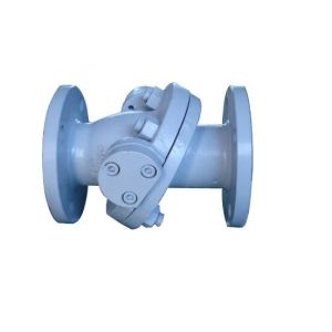 Check Valves