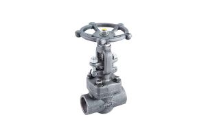 Forged Gate Valve