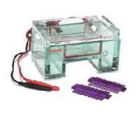 Electrophoresis Systems