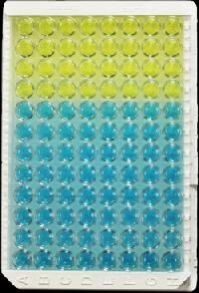 Elisa Test Kits