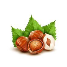 HAZELNUT OIL