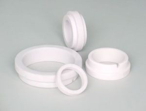 Ceramic Seal Ring