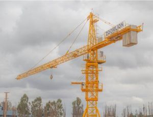 Hammer Head Tower Cranes