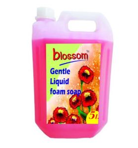 Liquid Foam Soap