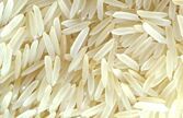 1121 white sella Rice