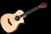 Acoustic Guitar