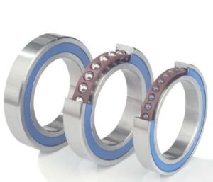 Automotive Alternator Bearings