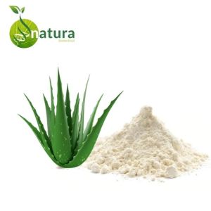 Natura Biotechnol Aloe Vera Extract Powder