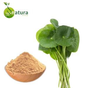 Natura Biotechnol Centella Extract Powder