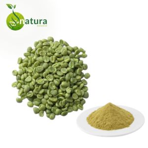 Natura Biotechnol Coffee Bean Extract Powder