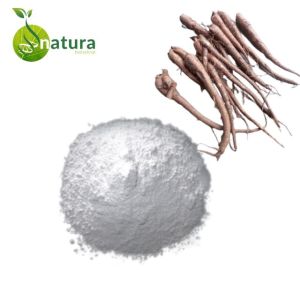 Natura Biotechnol Coleus Extract Powder