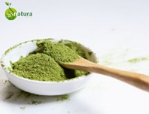 Natura Biotechnol Green Tea Extract Powder