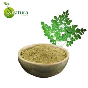 Natura Biotechnol Moringa Extract Powder
