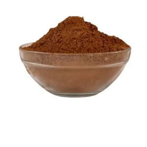 Cinnamon Dalchini Powder