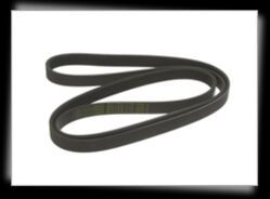 poly rib belt