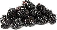 blackberries