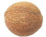 Husked Matured Coconut