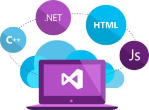 asp.net web development services
