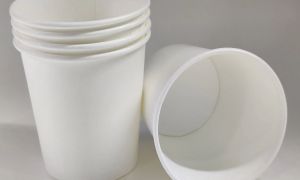 170ml Paper Cup