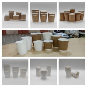 Paricott Double wall Paper Cup