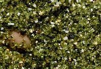 Olivine Sand