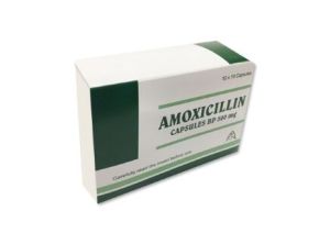 Amoxycillin Capsules