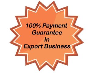 Tips of Export Payment terms